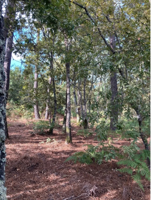Terreno Para Construção