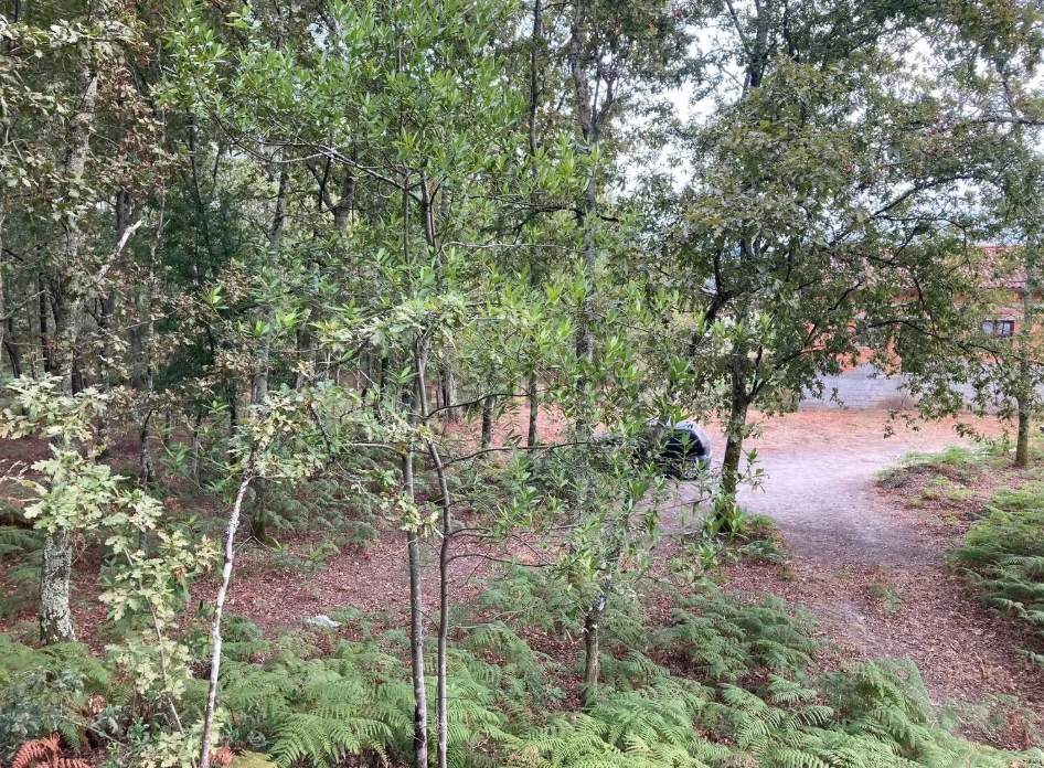 Terreno Para Construção