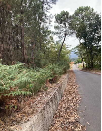 Terreno Para Construção