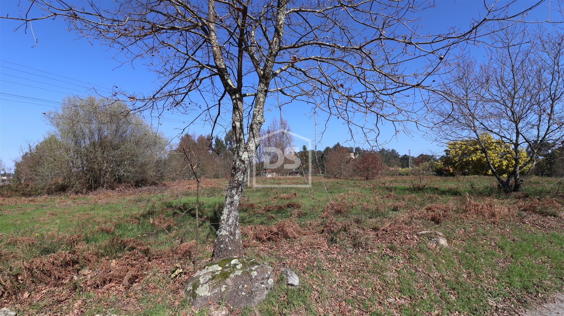 Terreno Urbanizável Viseu 