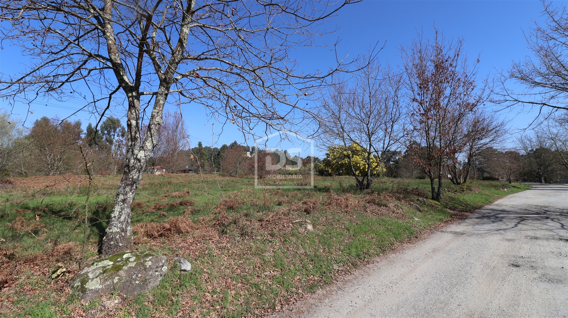 Terreno Urbanizável Viseu 