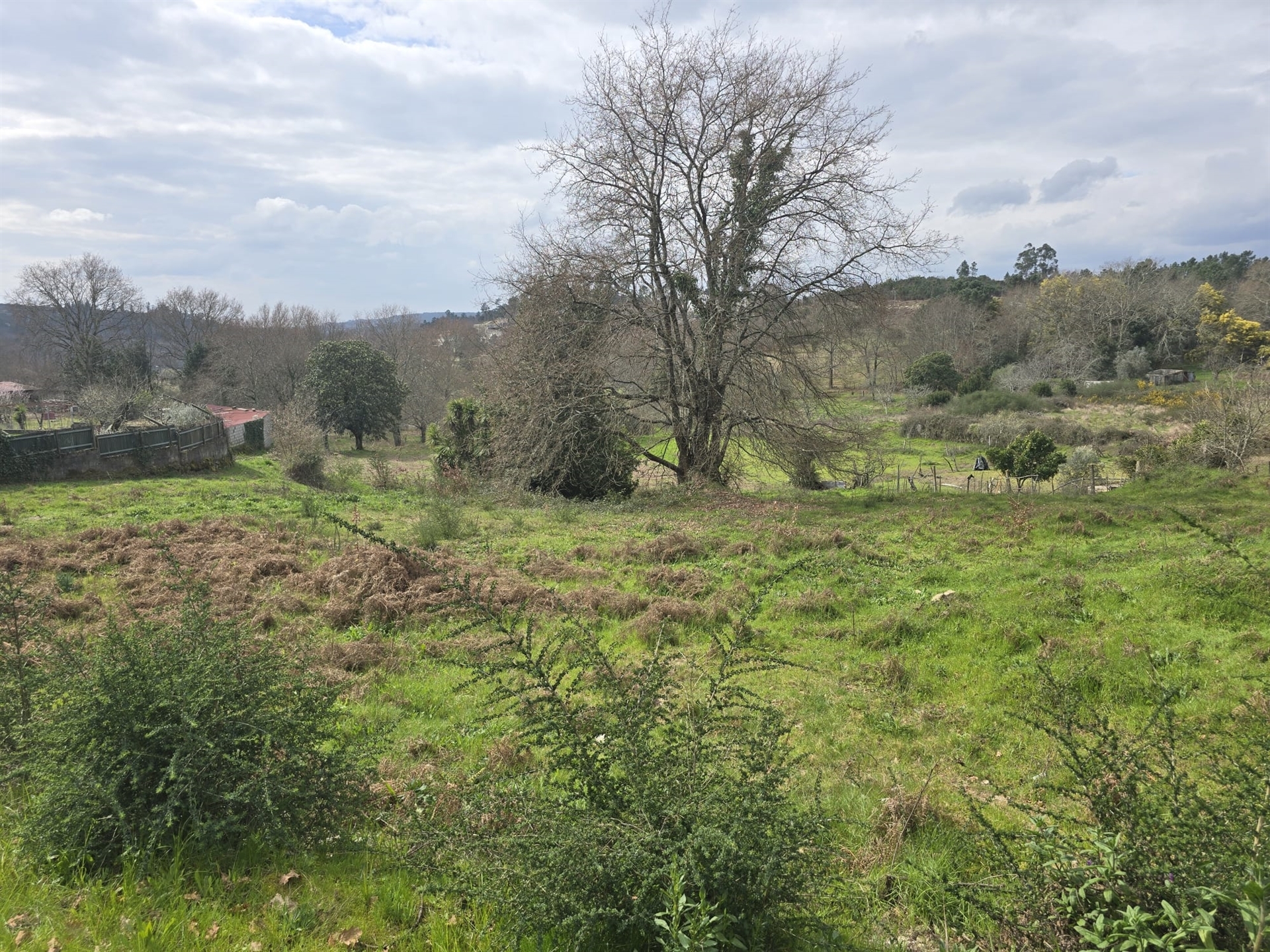 Lote de Terreno Urbano para Construção – Orgens, Viseu