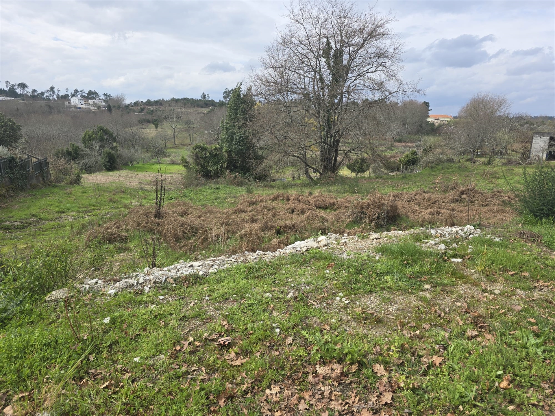 Lote de Terreno Urbano para Construção – Orgens, Viseu