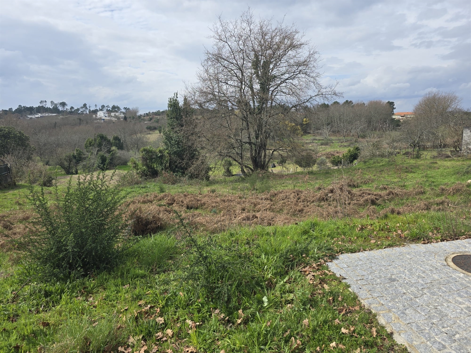 Lote de Terreno Urbano para Construção – Orgens, Viseu
