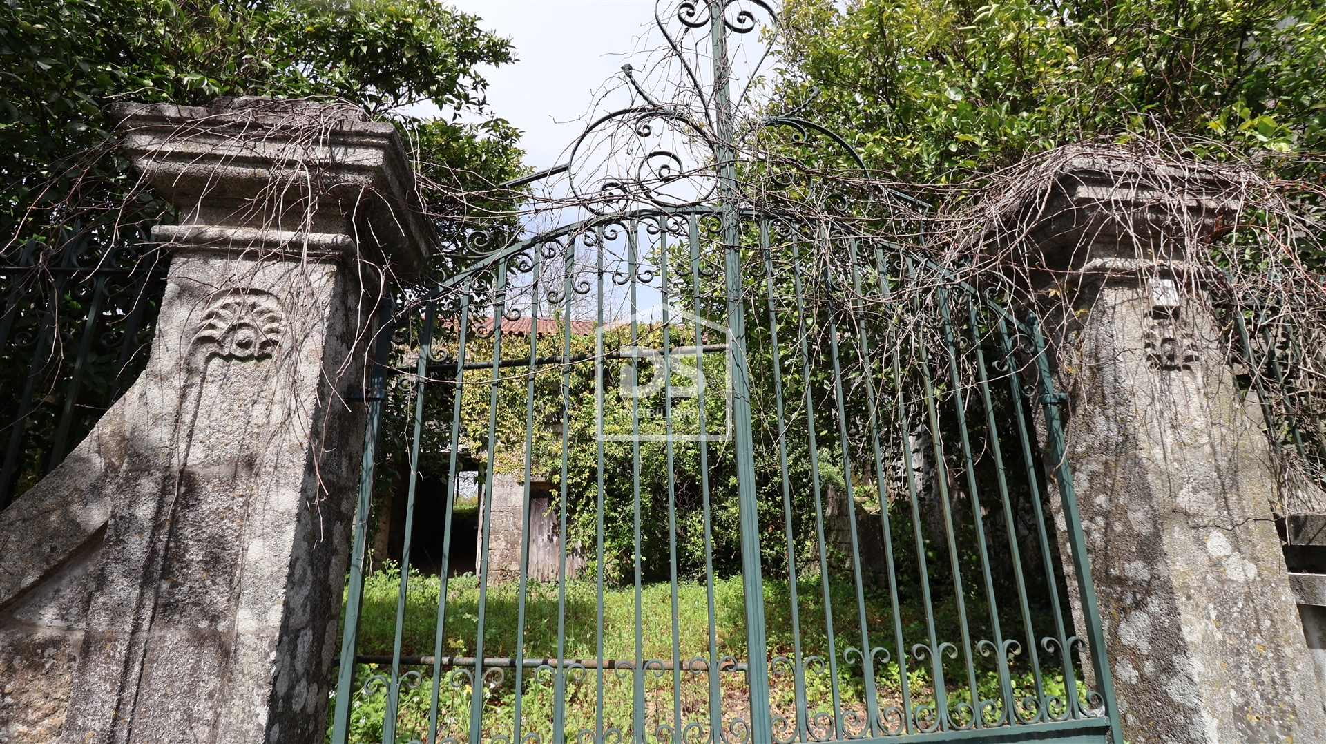Quinta de 4 hectares em Viseu - Terreno Urbanizável e Casa Senhorial