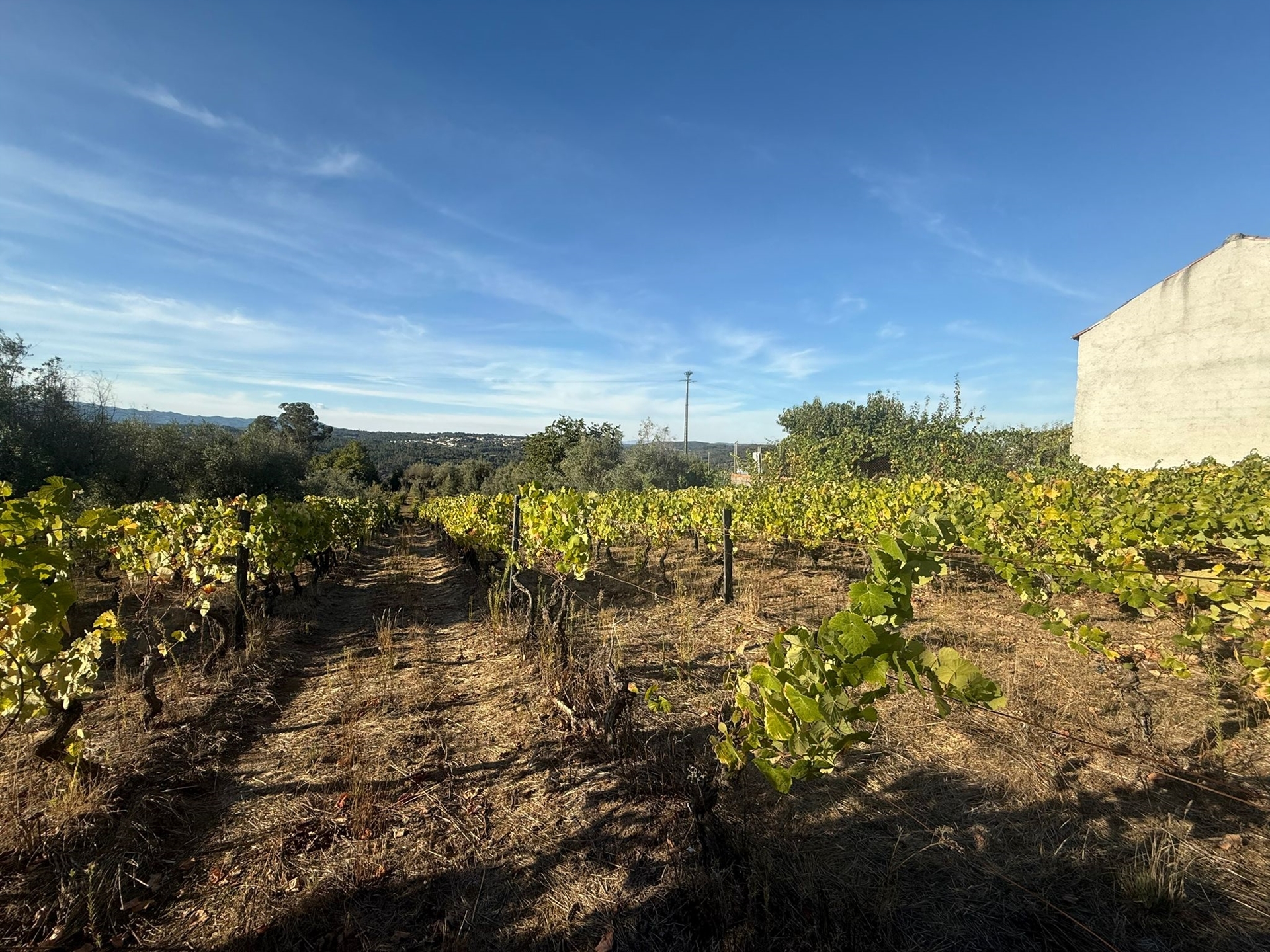 Terreno Para Construção
