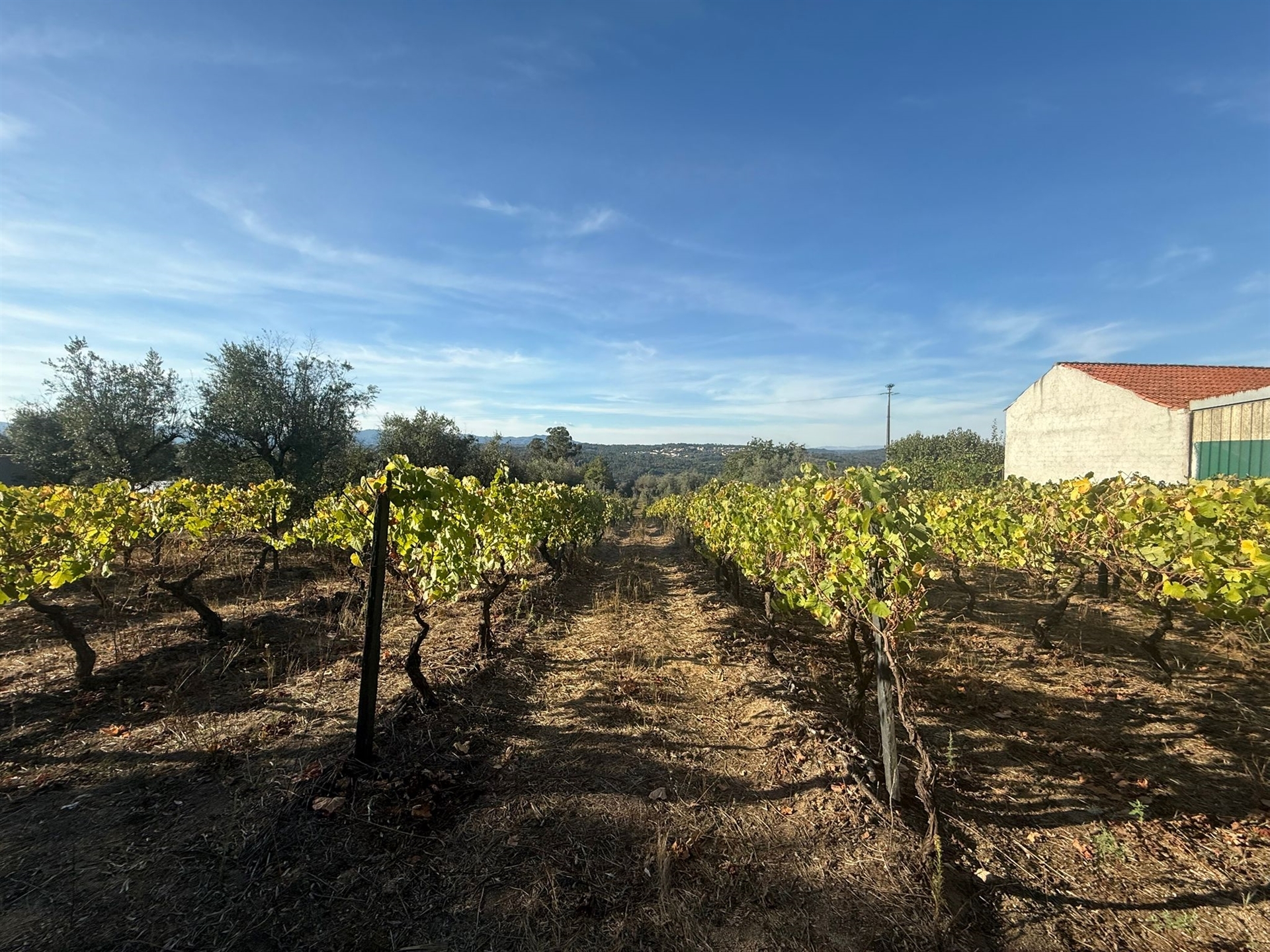 Terreno Para Construção
